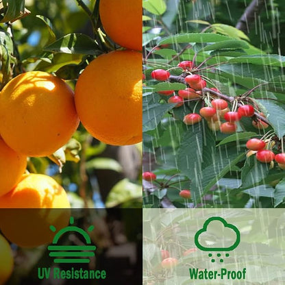 POYEE Bird Netting, 6.5x13FT Heavy Duty Garden Netting | for Fruit Trees Plants Strawberry Blueberry Bush Protection Anti Birds, Deers, Squirrels and Other Animals