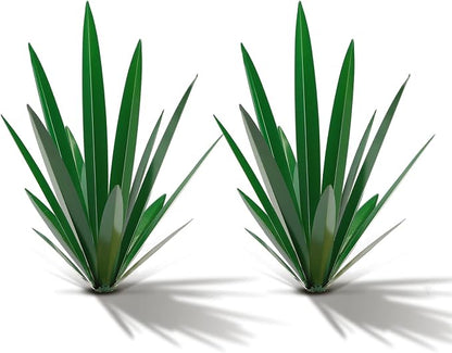 Homight Metal Tequila Country Sculpture DIY Tequila Plant Home Decor Country Tequila Garden Ornament Indooutdoor Statuette Patio Lawn Patio Stake Decoration Gift to The Garden…