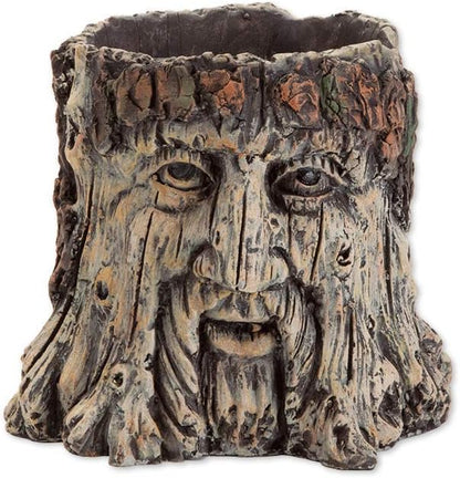 Bits and Pieces - Tree Face Garden Planter - Durable Polyresin Indoor-Outdoor Urn for Plants - Forest Inspired Whimsical Garden Décor