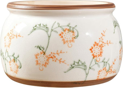Vintage Ceramic Flower Pot - Indoor Outdoor Planters with Drainage Holes & Filter Screen, 9’’ Large Rustic Farmhouse Decorative Plant Pots for Garden/Patio/Balcony (Daisy Bouquets, Large)