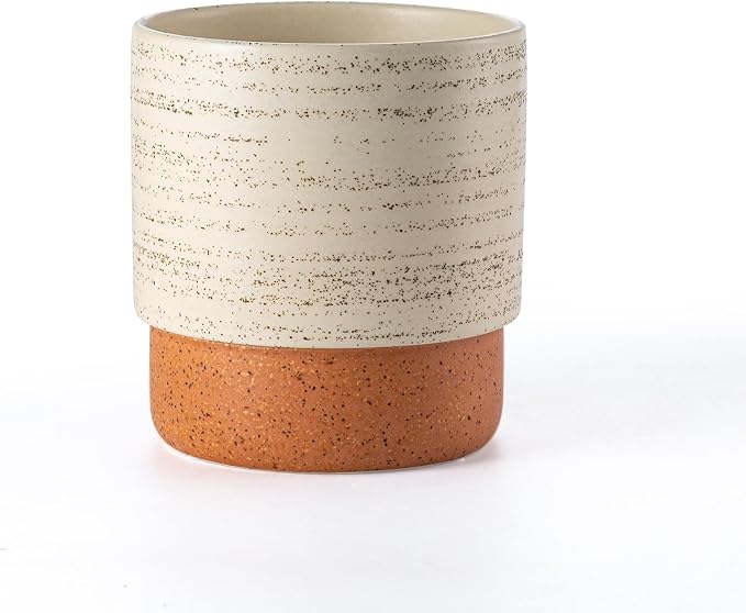 6 Inch Ceramic Self Watering Planter with Drainage Hole, Brush | Indoor Plant Pot with Water Storage Plus - for African Violet, Herbs & Pothos - Home & Office Decor, Cylinder Round
