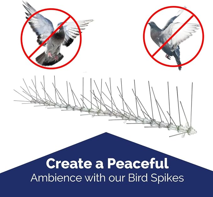 Bird-X Stainless Steel Spikes Stop Bird Roosting Pigeons 6 Inch Wide 10 Ft | Stops Bird Landing, Durable Stainless Steel, Ledges, Sings, Pipes Beams, For Pigeons, Seagulls, Sparrows & more 10 Feet