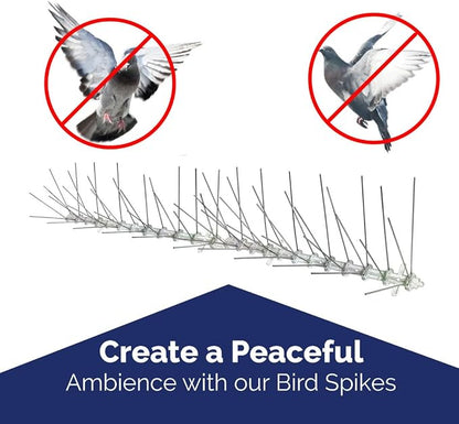 Bird-X Stainless Steel Spikes Stop Bird Roosting Pigeons 6 Inch Wide 10 Ft | Stops Bird Landing, Durable Stainless Steel, Ledges, Sings, Pipes Beams, For Pigeons, Seagulls, Sparrows & more 10 Feet