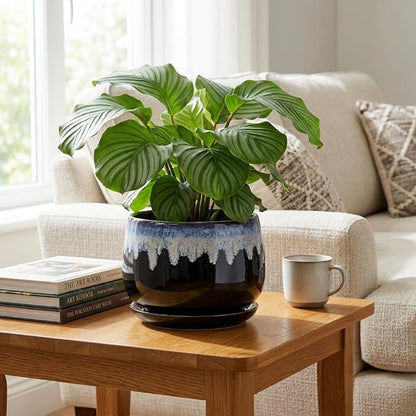 Ceramic Plant Pots - 9 Inch Flower Pots for Indoor Plants, Decorative Pots for Plants with Drainage and Saucer, Large Planter, House Office Decor, Gardening Gifts for Women, Black-Blue