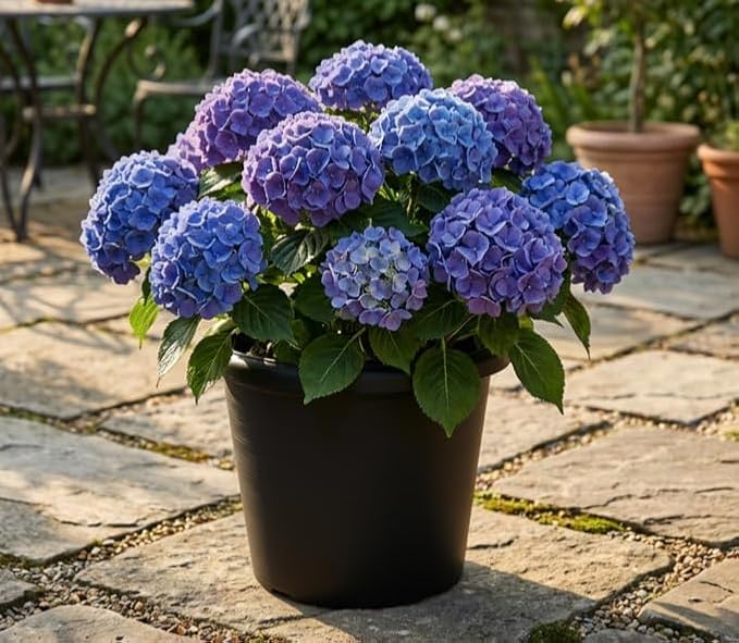 4 Pack 16 Inch Large Planters for Outdoor Plants, Heavy-Duty Plastic Plant Pots with Drainage Holes - 30L Capacity Indoor Outdoor Flower Pots, 16" Diax12" Tall, Cement Textured Patio Garden Containers