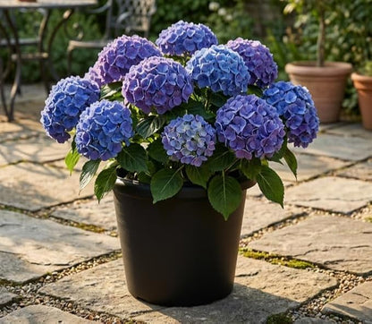 4 Pack 16 Inch Large Planters for Outdoor Plants, Heavy-Duty Plastic Plant Pots with Drainage Holes - 30L Capacity Indoor Outdoor Flower Pots, 16" Diax12" Tall, Cement Textured Patio Garden Containers