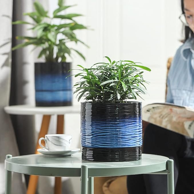 Nihow Ceramic Self Watering Plant Pot for Indoor Plants, 6 Inch,Blue | Planter with Cotton Wick, Drainage Hole & Water Storage Plus, Cylinder Round Flower Pot, For Succulent/Herbs/Violets