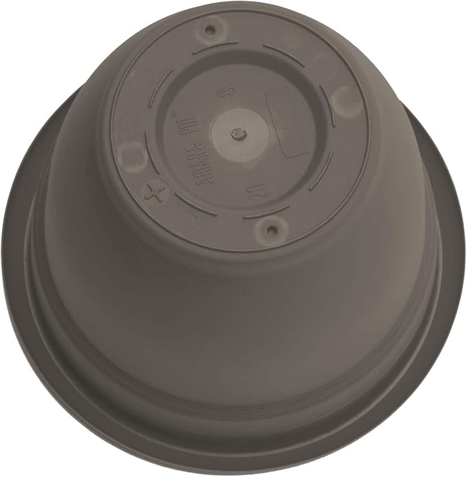 Bloem Ariana 10" Plastic Self-Watering Planter, Peppercorn | Self-watering disk at the bottom of the pot that acts as a water wick and reservoir for optimal plant health.