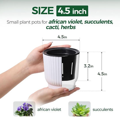 T4U 4.5 Inch Plant Pots Self Watering, 6 Pack African Violet Pots, Small Plant Pots for Plants, Small Indoor Plant Pot, Self Watering Planter for African Violet, Succulents (6 Pack 4.5" Pots, White)