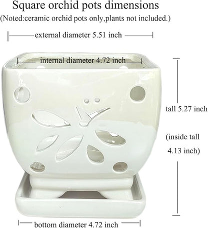 Orchid Pots with Holes Square Ceramic Orchid Planter Pots 5.5 inch (Cream)