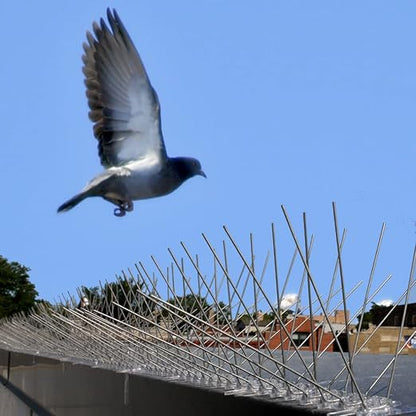 Bird-X Stainless Steel Bird Spikes, 8-inch Extra-Wide Spikes, Bird Spikes for Pigeons and Other Small Birds, Easy to Install, Contains 2 ft. Strips, Covers 24 Linear Feet Area, EWS-24