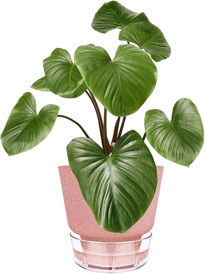 Self Watering Pots for Indoor Plants, with Visible Reservoir, 6 inch Plant Pot with Wick Rope Planter Pot for Indoor Outdoor Plants (Frosted Brick Red)