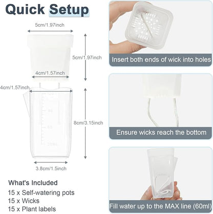 15 Pack 2" Self Watering Pots for Indoor Plants,Mini Clear Plastic Planters with Water Level Indicator & Drainage Holes for Alocasia Propagation, African Violets, Seedlings, Cuttings and Succulents