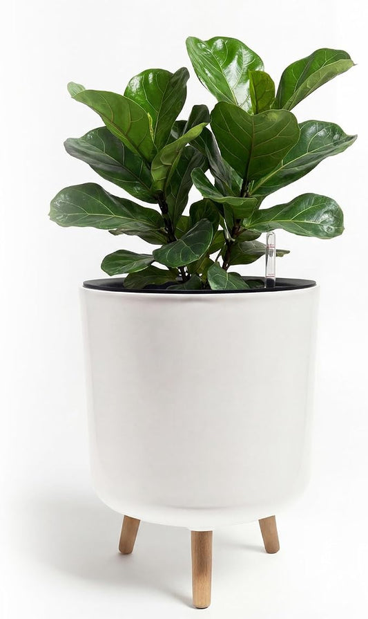 Bamworld Self Watering Pots for Indoor Plants with Water Level Indicator 12 inch Plant Pot Plastic Planter with Wooden Stand for Outdoor Plants Modern Décor for Porch Patio White Large