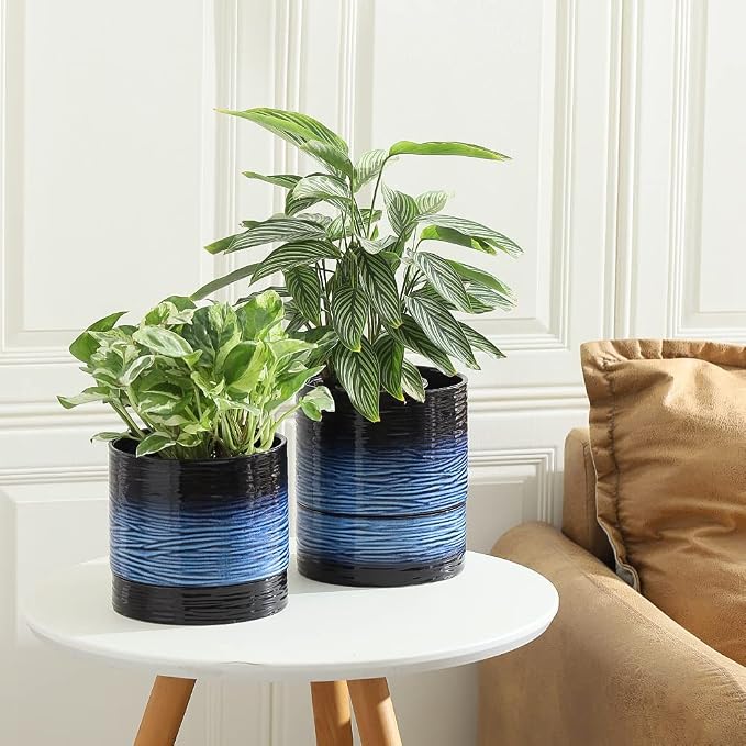 Nihow Ceramic Plant Pot,6 Inch Planter with Drainage Hole&Saucer for Indoor | Black & Vivid Blue,Indoor & Outdoor, Cylinder Round Flower Pot, For Succulent/Herbs/Violets