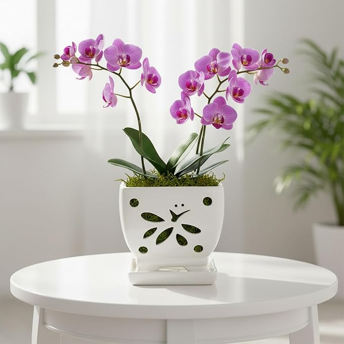 Orchid Pots with Holes Square Ceramic Orchid Planter Pots 5.5 inch (Cream)
