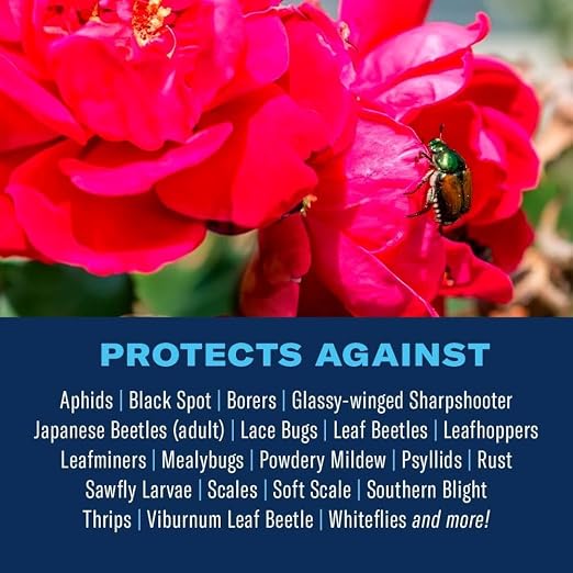 BioAdvanced All-In-One Rose and Flower Care Concentrate - Plant Food - Prevents Pests and Diseases - Up to 6 Weeks Protection - 64 oz Bottle