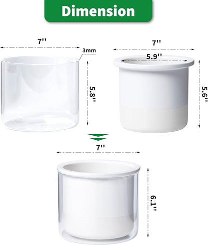 Phoenix Vine 6 Inch Self Watering Planter, Design White Terracotta Pot for Plants, Indoor Cylinder Terra Cotta Pot with Glass Vase, Set of 1, 51-B-F-1