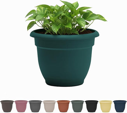 Bloem Ariana 10" Plastic Self-Watering Planter, Charleston Green | Self-watering disk at the bottom of the pot that acts as a water wick and reservoir for optimal plant health.