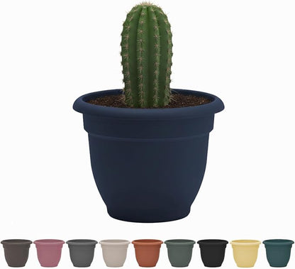 Bloem Ariana 12" Plastic Self-Watering Planter, Navy | Self-watering disk at the bottom of the pot that acts as a water wick and reservoir for optimal plant health.