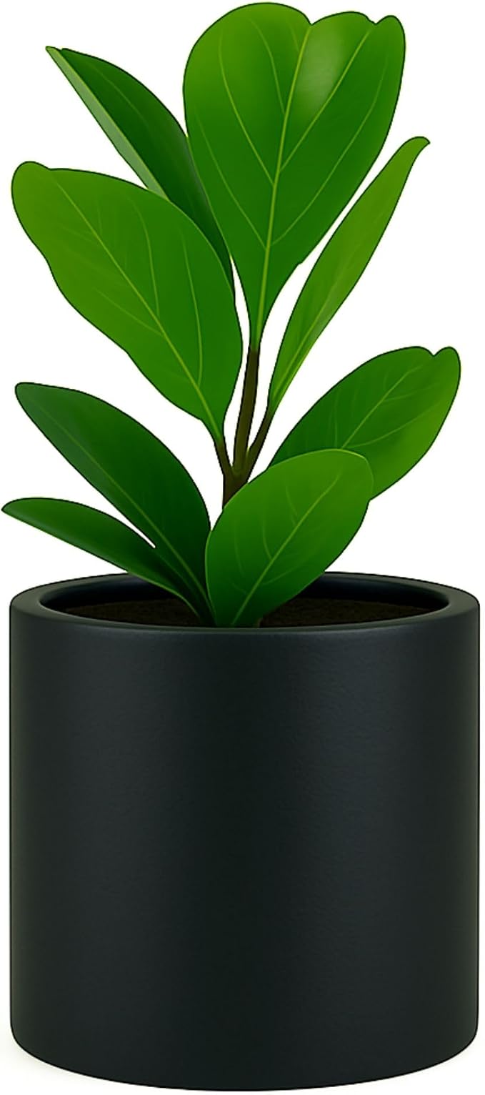 Fox & Fern Large Indoor Planter, Modern Large Plant Pot for Indoor or Outdoor, UV and Frost Resistant - 10 Inch, Matte Black Flower Pot with Drainage Plug, Lightweight