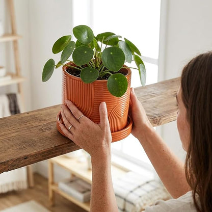 6 Inch Ceramic Plant Pot with Drainage Hole & Tray – Indoor Planter for Succulents, Herbs & Houseplants – Modern Ceramic Planter with Mesh Pad, Dibber & Widger – Terracotta