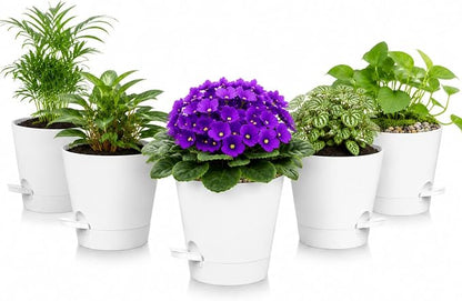 5 Pack 5 Inch African Violet Pots Self Watering, Self-Watering Planters with Drainage Holes & Reservoir, White Plastic Pots for Indoor Outdoor Plants, Succulents & Flowers
