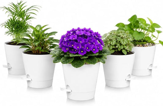 5 Pack 5 Inch African Violet Pots Self Watering, Self-Watering Planters with Drainage Holes & Reservoir, White Plastic Pots for Indoor Outdoor Plants, Succulents & Flowers