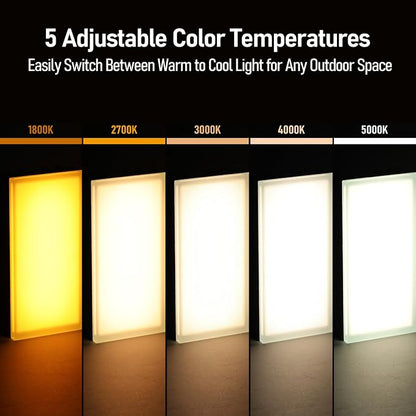 LEONLITE Paver Light, 4x8 Inch Low Voltage LED Landscape Light, 5CCT Adjustable Glare-Free Brick Light, IP67 CRI90 Driver-Over Safe, 12-24V Hardwired Pathway Light for Driveway Garden, Pack of 4
