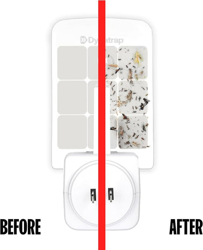 Dynatrap Glue Card Refills for Indoor Dynatrap Fly Trap Models DT3007 and DT3007W - 6 Glue Cards - 23007 - Discreet Indoor Insect Control - Includes 6 Official Refills