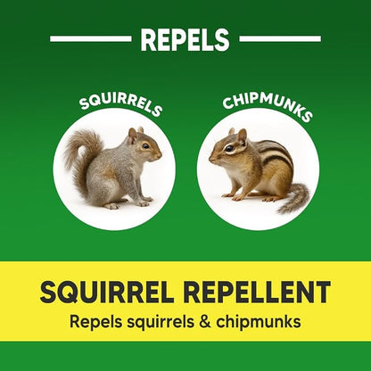 AUDQQM Squirrel Repellent Outdoor, Chipmunk Repellent for Garden, Squirrels Deterrent, Keep Squirrels Away from Yard, Attic & Bird Feeders, Lasting for 3 Month, Easy to Use, 10 Count