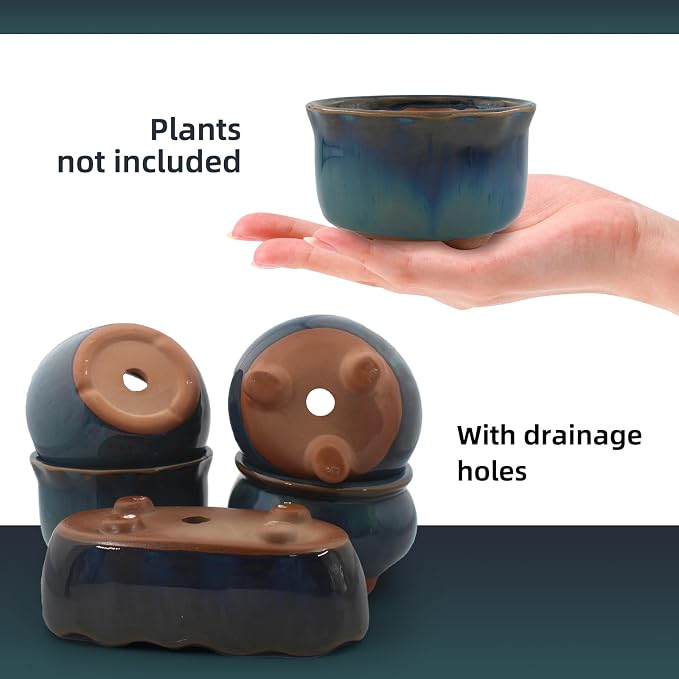 Ceramic Succulent Garden Pots Small Plant Planter Container with Drainage Set of 5 for Home Office Decor
