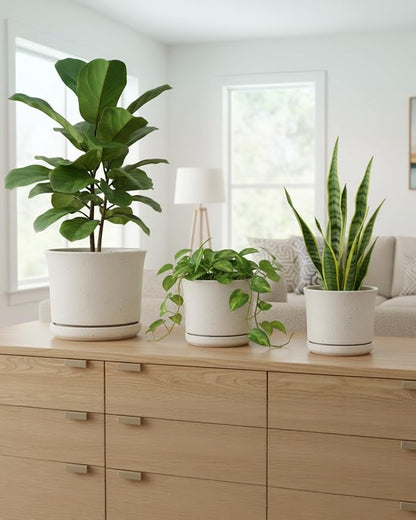 Ceramic Plant Pots Set of 3, 4.3"/5.6"/6.9" Indoor Plant Pots with Drainage Hole and Attached Saucer, Modern Ceramic Planters for Indoor Plants, Succulents, Herbs, Matte White Flower Pots
