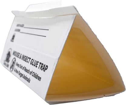 Daisy J&M E72 Glue Boards - 72 Count