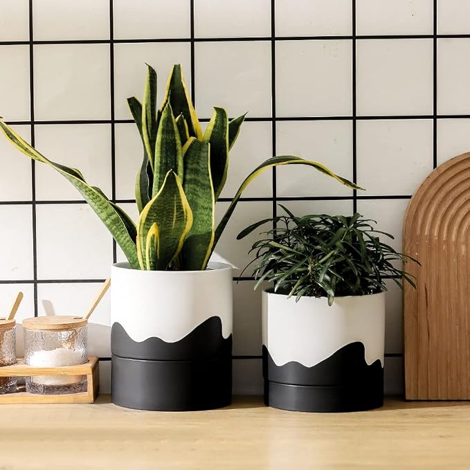 Nihow Ceramic Plant Pot,6 Inch Planter with Drainage Hole&Saucer for Indoor | White & Black,Indoor & Outdoor, Cylinder Round Flower Pot, For Succulent/Herbs/Violets