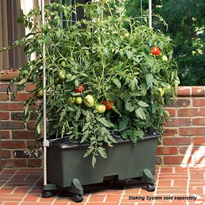 EarthBox 80151 Garden Kit, Organic, Green