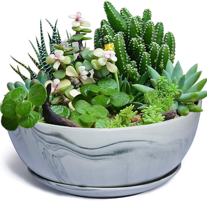 G EPGardening 10Inch Large Planter Marble Pattern Ceramic Succulent Planter Big Plant Pot Succulents Container Flower Pot Indoor Outdoor Decor (Plants Not Included)
