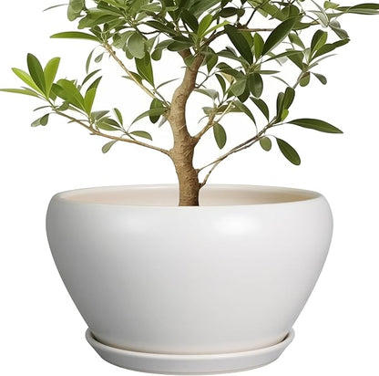 Ceramicfor Planter for Indoor Plants 13 Inch - Ceramic Plant Pot with Drainage Hole and Saucer Decorative Round Large Planter Pot for Plants Outdoor Flower Pot for Room Decor White