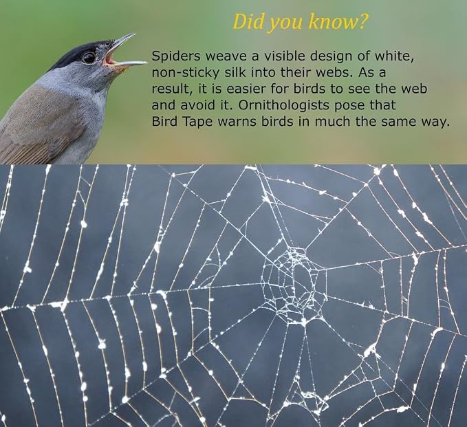 COLLIDESCAPE Spiderweb Clear BirdTape for Windows (3/4" x 20' - Covers 1 to 2 panes) | Bird Tape Decals to Prevent Bird Strike Prevention for Glass | Clear