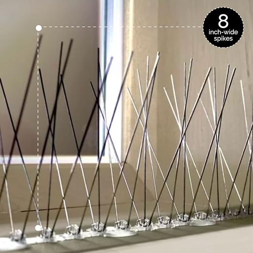 Bird-X Stainless Steel Bird Spikes, 8-inch Extra-Wide Spikes, Bird Spikes for Pigeons and Other Small Birds, Easy to Install, Contains 2 ft. Strips, Covers 10 Linear Feet Area, EWS-10