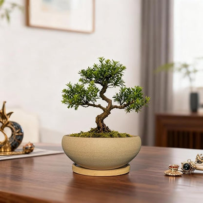 MUZHI 6 inch Succulent Pot - Unglazed Ceramic Bonsai Pot with Bamboo Tray, Rustic Pottery Cactus Planter with Drainage Hole Indoor Outdoor