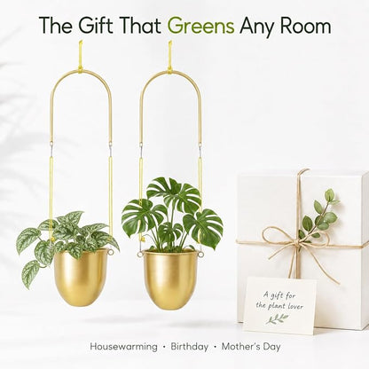 AceList Gold Hanging Planters Set of 2 - Modern Metal Plant Pots 5.5 Inch with Adjustable Hemp Rope and Mounting Hooks, Indoor Outdoor Boho Home Decor for Living Room Balcony Garden Patio Window