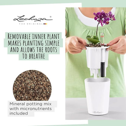 Lechuza MINI-DELTINI Cream White High Gloss, Self-Watering Small Indoor Planter, H5.1 L3.9 W3.9, 0.4L in