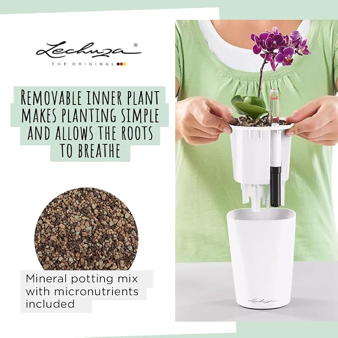 Lechuza 14900 Deltini Self-Watering Planter for Indoor and Outdoor Use, 6" x 6" x 7", White