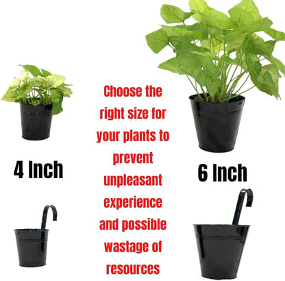 LaLaGreen Railing Planter 10 Pack, 6 Inch Hanging Flower Pot Black, Outdoor Large Metal Iron Fence Bucket, Balcony Garden Wall Deck Porch Patio Rail Decor Hanger Hook Farmhouse Balcony 6'''' (15cm) | Balcony railing planters for apartment, patio, porch...
