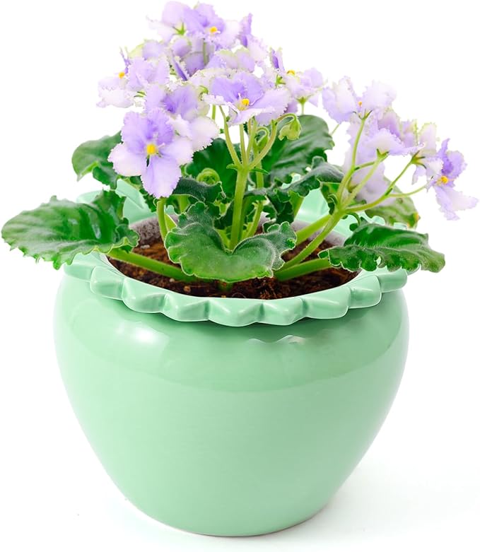 Self Watering Plant African Violet Flower Pot 6.5 * 4.6 * 4 Inch Green Ceramic Pot Maintenance Indoor Plant Self Watering Seeder Plant Planting High Absorption Plant Inner Flower Pot
