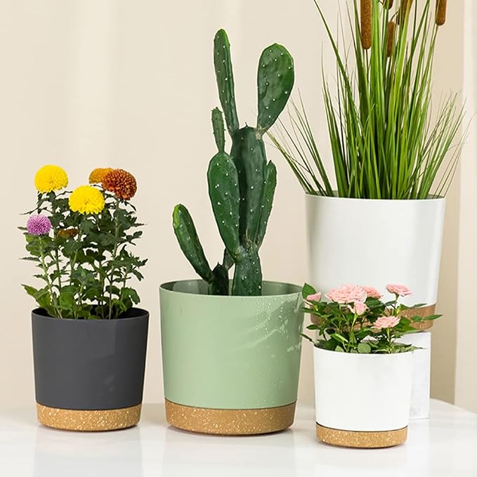 ZMTECH Planters for Indoor Plants, Plant Pots & Flower Pots, Plastic Plant Spring 3 Pack 8 Inch Self Watering Planter with Drainage Hole and Saucer, Modern Decorative for Indoor Outdoor, Dark Gray