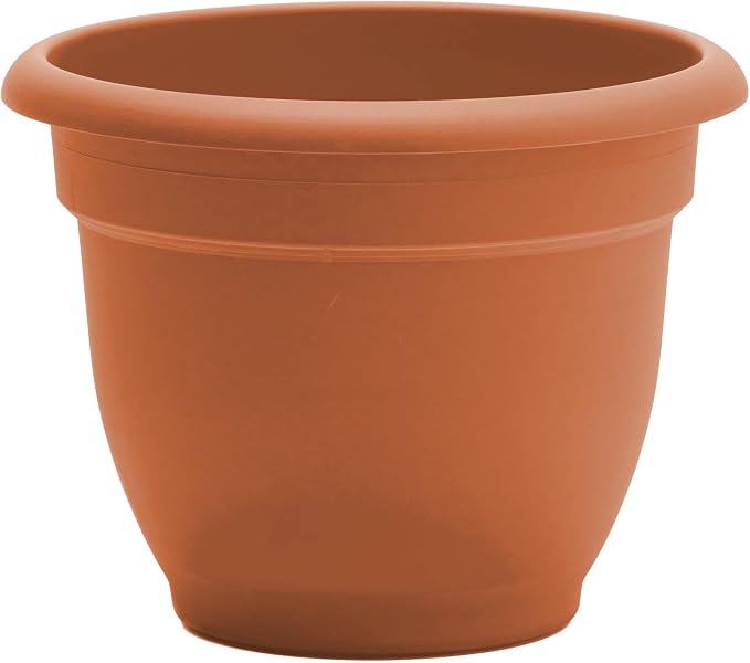 Bloem Ariana 12" Plastic Self-Watering Planter, Terra Cotta, 2-Pack | Self-watering disk at the bottom of each pot that acts as a water wick and reservoir for optimal plant health