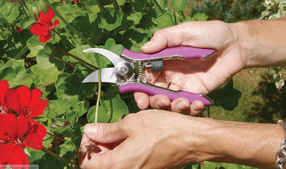 Dramm ColorPoint Stainless Steel Compact Garden Pruning Shears, Hand Pruner, Garden Clippers, with Heavy Duty Blade and Easy grip Handle, Blue