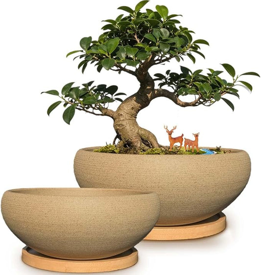MUZHI 2 Pack 8+6 Inch Plant Pot - Natural Unglazed Ceramic Bonsai Pot with Bamboo Saucer, Large Vintage Clay Shallow Planter Pot with Drainage Hole